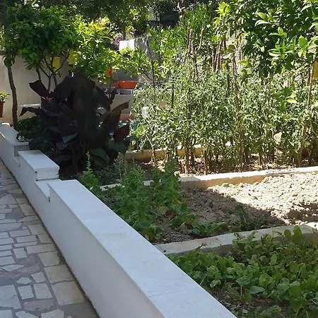 Apartment Mrdan Seget Vranjica