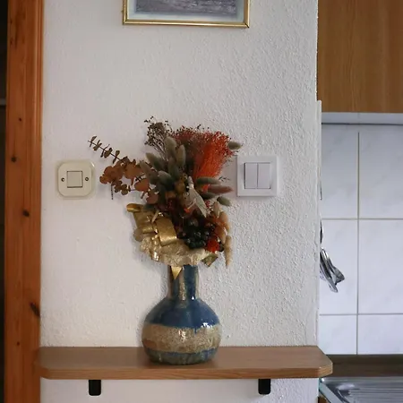 Apartment Mrdan *