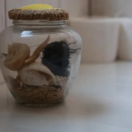 Mrdan Apartmán Seget Vranjica