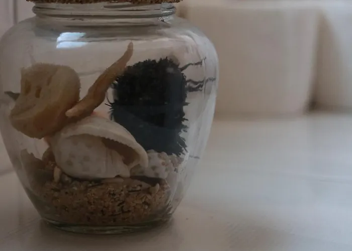 Mrdan 아파트 브랜지카