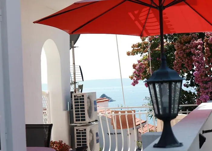 Mrdan * 브랜지카