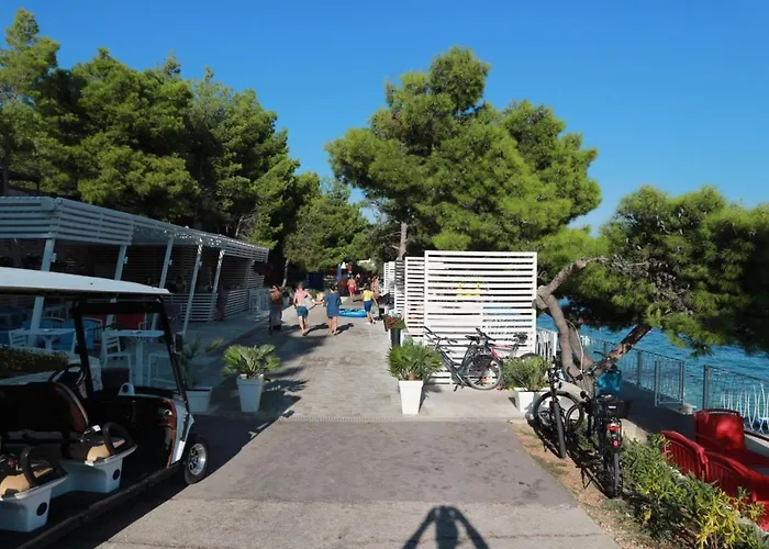 Mrdan * 브랜지카